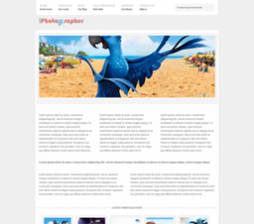 Permanent Link to iPhotographer